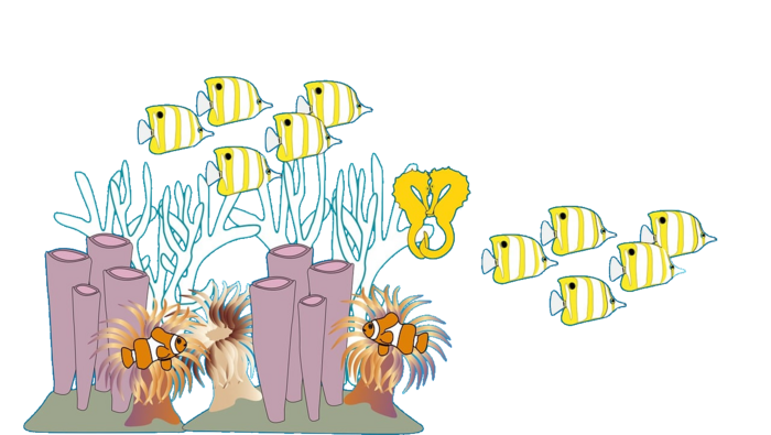 Coral